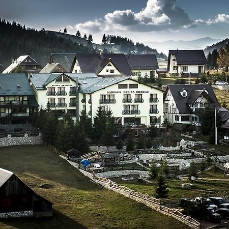 Complex Padina Ursului Fundata Buitenkant foto