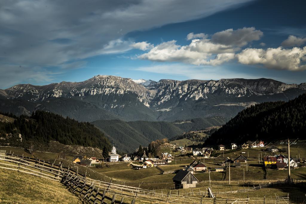 Complex Padina Ursului Fundata Buitenkant foto