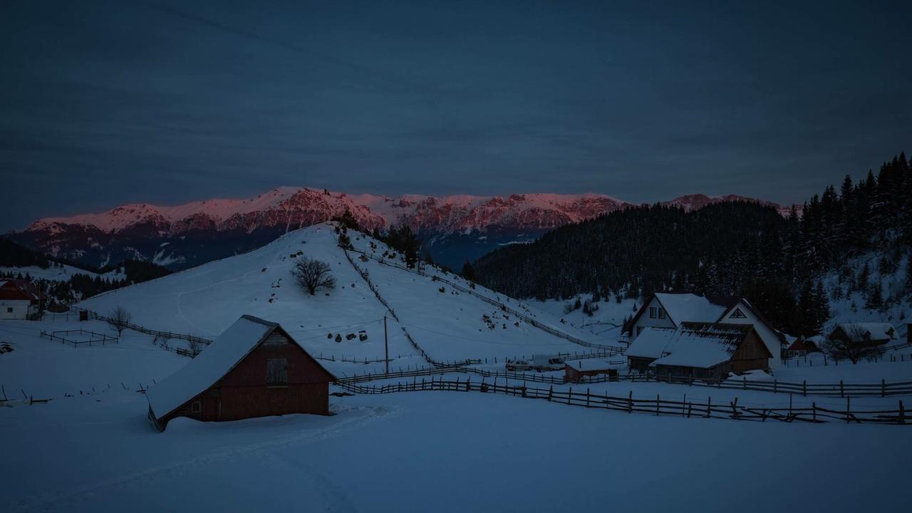 Complex Padina Ursului Fundata Buitenkant foto